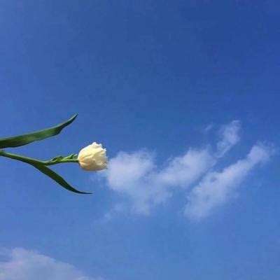 我叫mt开荒团百度官方版下载