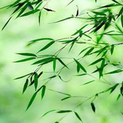 怒火燎原果盘手机版下载