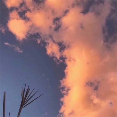 天才小镇幼儿园最新版下载