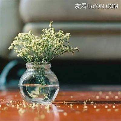 鱼龙模拟器游戏下载